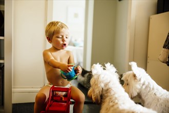 Mixed race boy playing with dogs on floor