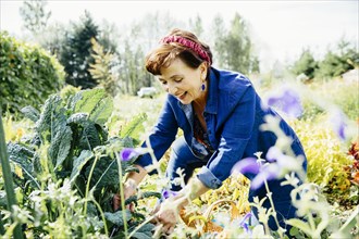Caucasian woman picking vegetables in garden