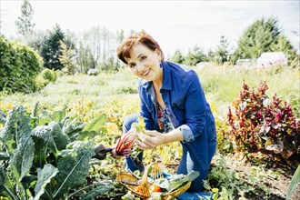 Caucasian woman picking vegetables in garden