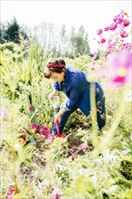 Caucasian woman digging in garden