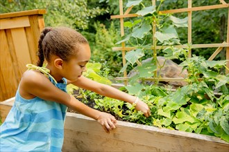 Mixed race girl examining plants in garden