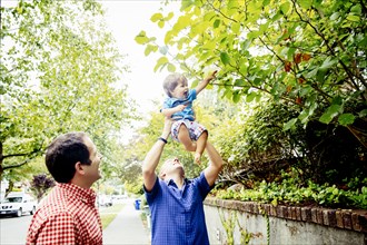Father lifting baby son to tree branches