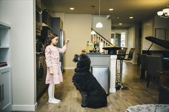 Mixed race girl training dog in kitchen