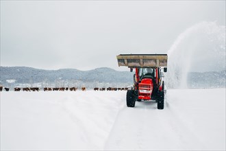 Caucasian man driving snow plow