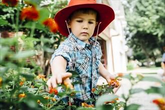 Caucasian boy wearing cowboy hat picking flowers in garden
