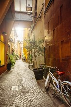Bicycle in cobblestone alley