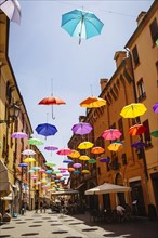 Multicolor umbrellas hanging over street