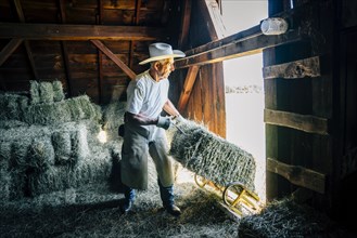 Caucasian farmer in barn pulling bale of hay