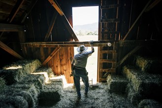 Caucasian farmer resting in barn near bales of hay