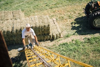 Caucasian farmer climbing ladder to barn