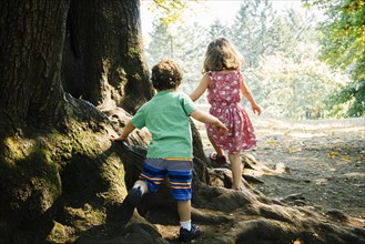 Caucasian brother and sister walking on tree roots