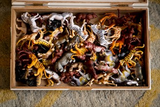 Wooden box filled with toy animals