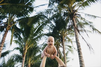 Caucasian mother lifting baby daughter under palm tree