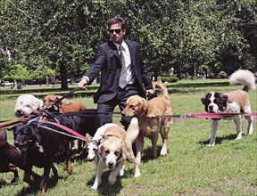 Hispanic businessman walking dogs in park