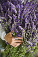 Asian woman holding bunch of lavender flowers