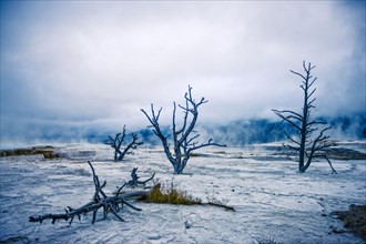 Desolate cold landscape