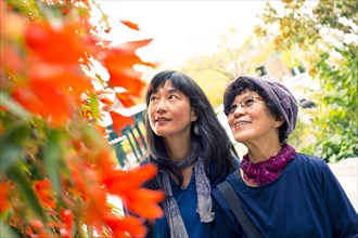 Older Japanese mother and daughter admiring autumn leaves