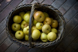 Basket of green apples on brick floor