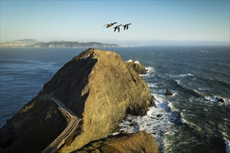 High angle view of geese flying over Marin Headlands