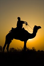 Silhouette of man riding camel at sunrise