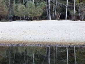 Trees and sandy beach reflecting in still river