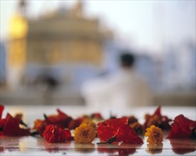 Close up of flowers on Golden Temple shrine