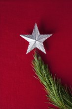 Silver star on branch of Christmas tree