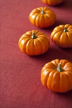 Small Halloween pumpkins