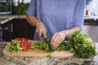 Mixed race woman chopping vegetables in kitchen