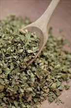 Close up of Mexican oregano and wooden spoon