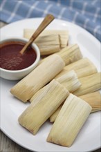 Close up of corn tamales and red sauce on plate