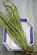 Close up of Chinese long beans