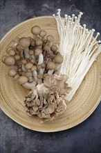 Variety of Asian mushrooms in basket