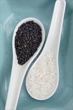 Black and white rice on spoons