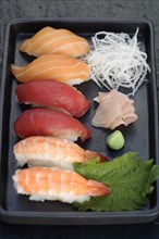 Variety of Nigiri sushi on tray