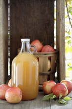 Apple cider and apples