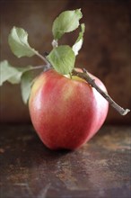 Red apple and twig