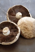 Shitake mushroom caps
