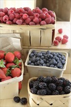 Various fresh berries in baskets