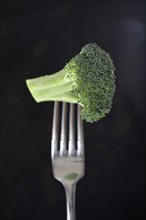 Broccoli floret on fork