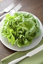 Fresh lettuce on plate