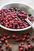 Cranberries and spoon in bowl