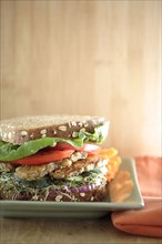 Close up of tempeh soy sandwich