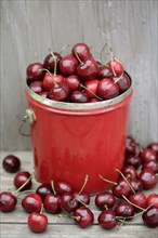 Bing cherries in bucket