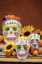 Decorated skulls for Day of the Dead celebration