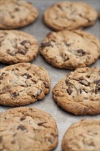Close up of tray of chocolate chip cookies