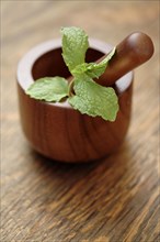 Close up of herbs in wooden mortar and pestle