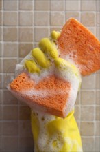 Rubber glove holding sudsy sponge in bathroom