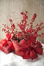 Bouquet of red berries decorated for Christmas