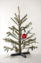 Small Christmas tree with single ornament